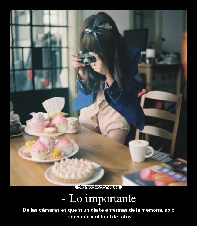 - Lo importante - De las cámaras es que si un día te enfermas de la memoria, solo
tienes que ir al baúl de fotos.