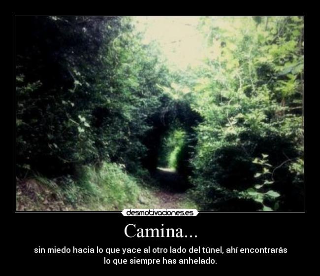 Camina... - sin miedo hacia lo que yace al otro lado del túnel, ahí encontrarás
lo que siempre has anhelado.