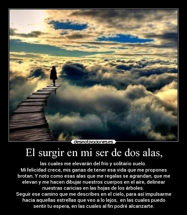 El surgir en mi ser de dos alas, - las cuales me elevarán del frío y solitario suelo.
Mi felicidad crece, mis ganas de tener esa vida que me propones
brotan. Y noto como esas alas que me regalas se agrandan, que me
elevan y me hacen dibujar nuestros cuerpos en el aire, delinear
nuestras caricias en las hojas de los árboles.
Seguir ese camino que me describes en el cielo, para así impulsarme
hacia aquellas estrellas que veo a lo lejos, en las cuales puedo
sentir tu espera, en las cuales al fin podré alcanzarte.