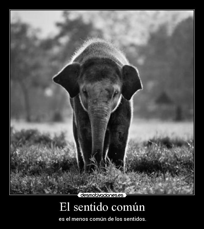 El sentido común - es el menos común de los sentidos.