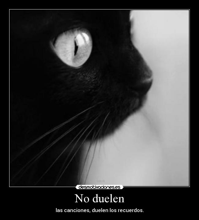 No duelen - las canciones, duelen los recuerdos.