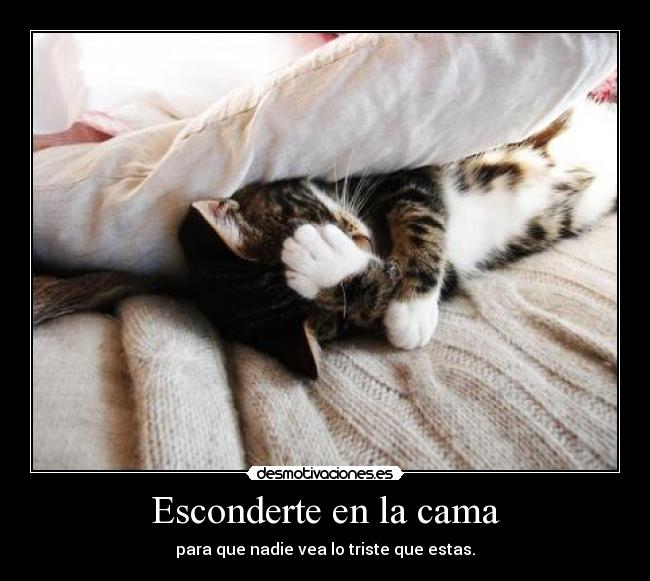 Esconderte en la cama -