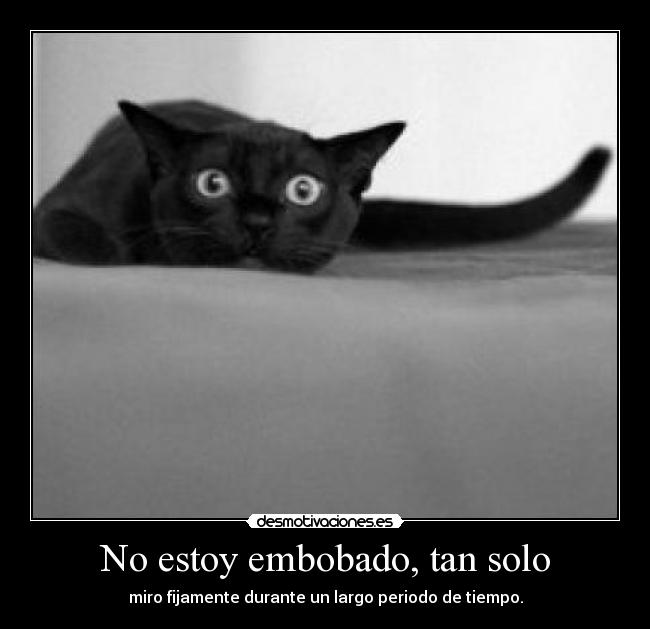 No estoy embobado, tan solo - miro fijamente durante un largo periodo de tiempo.