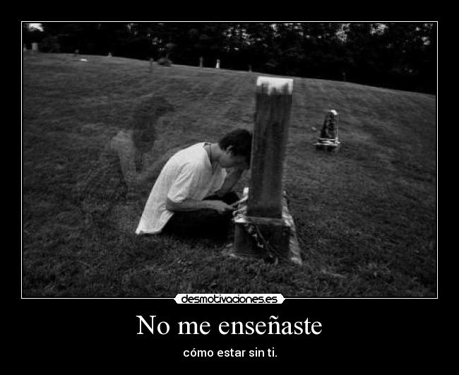 No me enseñaste - 