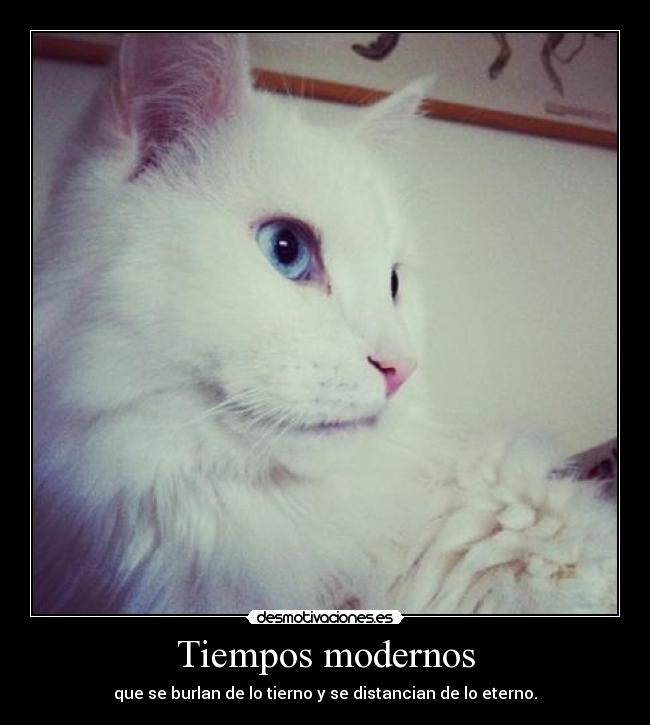 carteles palomitademaiz moco verde andante con bolsa americana cabeza desmotivaciones