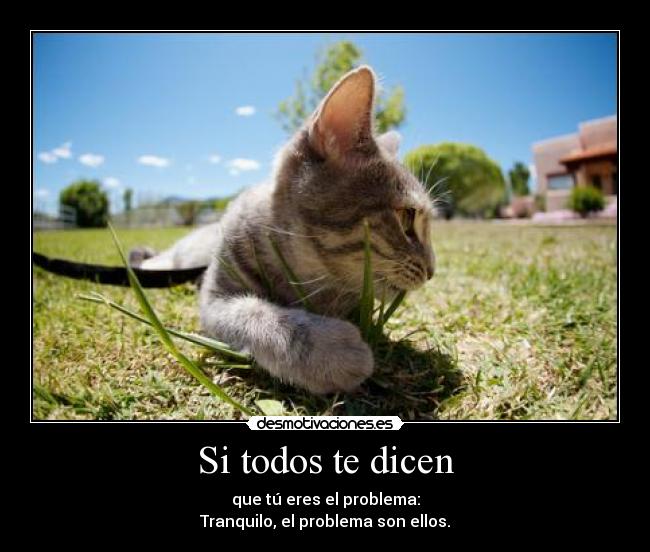 Si todos te dicen - que tú eres el problema:
Tranquilo, el problema son ellos.