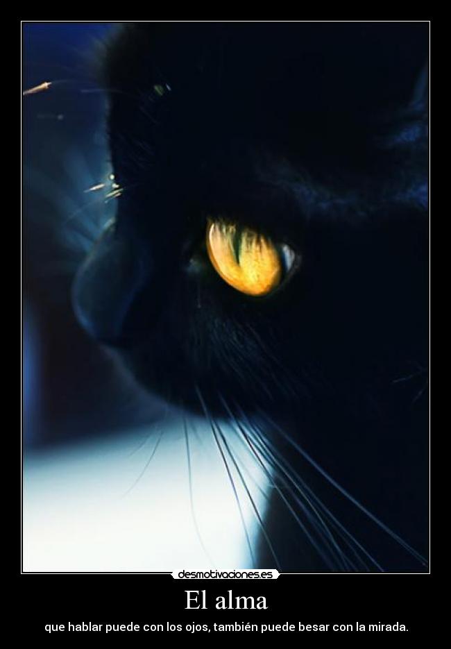 carteles alma eyes desmotivaciones