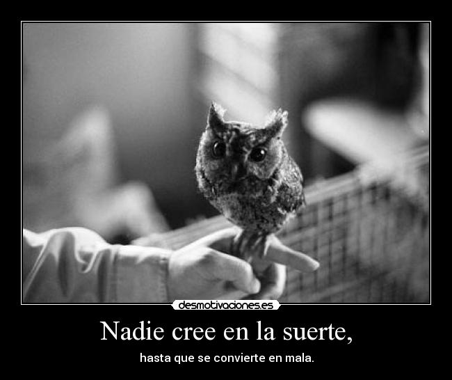 Nadie cree en la suerte, - 