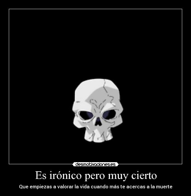 carteles vida muerte desmotivaciones