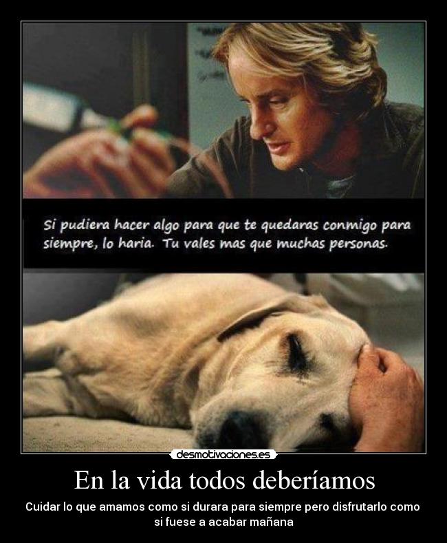 carteles vida guti19 dedicado perro que quiero mucho aunque este momento triste desmotivaciones