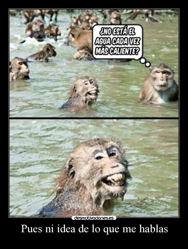 Pues ni idea de lo que me hablas -