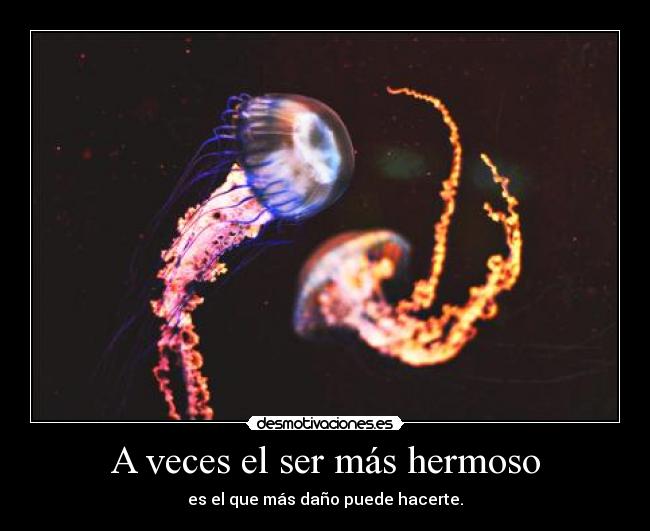 A veces el ser más hermoso - es el que más daño puede hacerte.