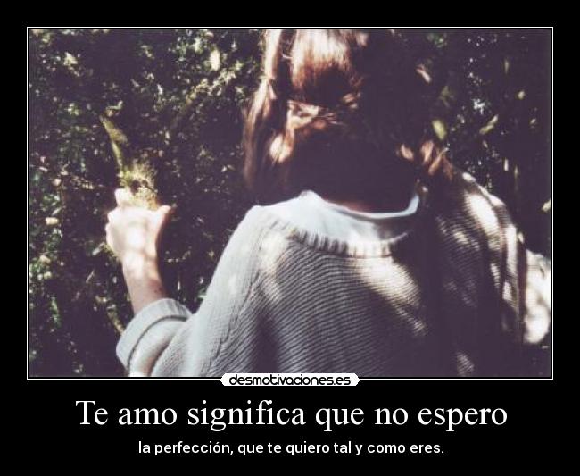 Te amo significa que no espero - la perfección, que te quiero tal y como eres.