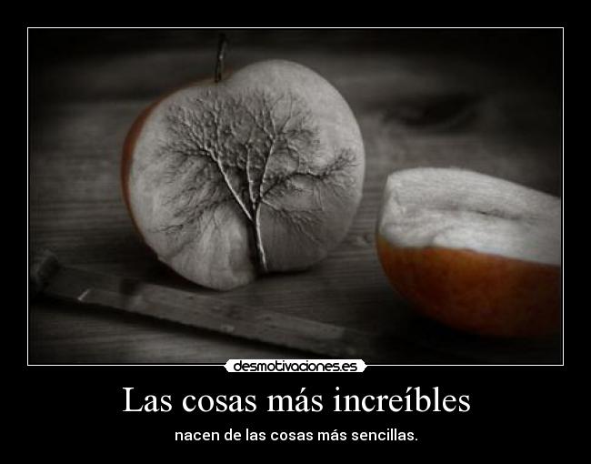 Las cosas más increíbles - nacen de las cosas más sencillas.