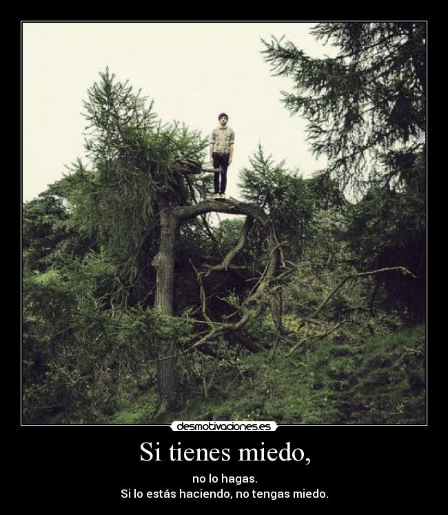 Si tienes miedo, -