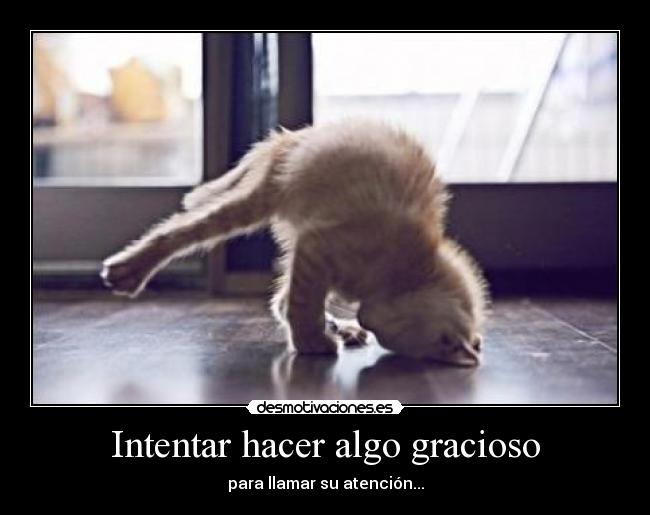 Intentar hacer algo gracioso - para llamar su atención...