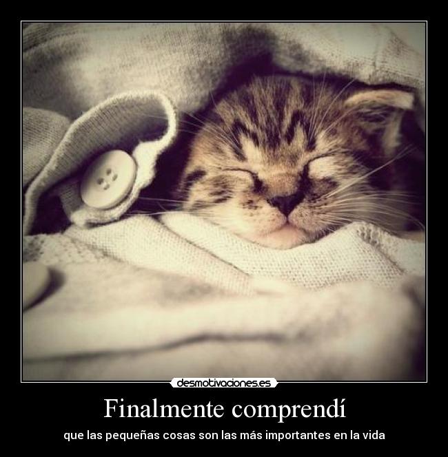 Finalmente comprendí -