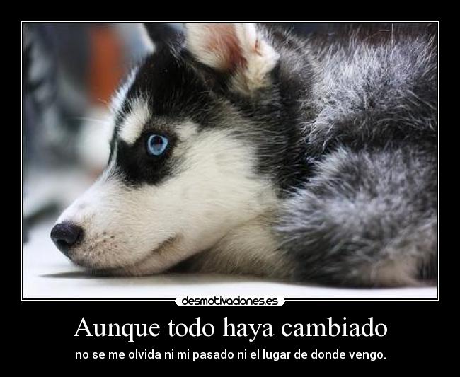Aunque todo haya cambiado - 