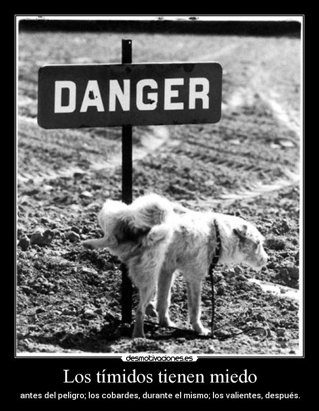 Los tímidos tienen miedo -
