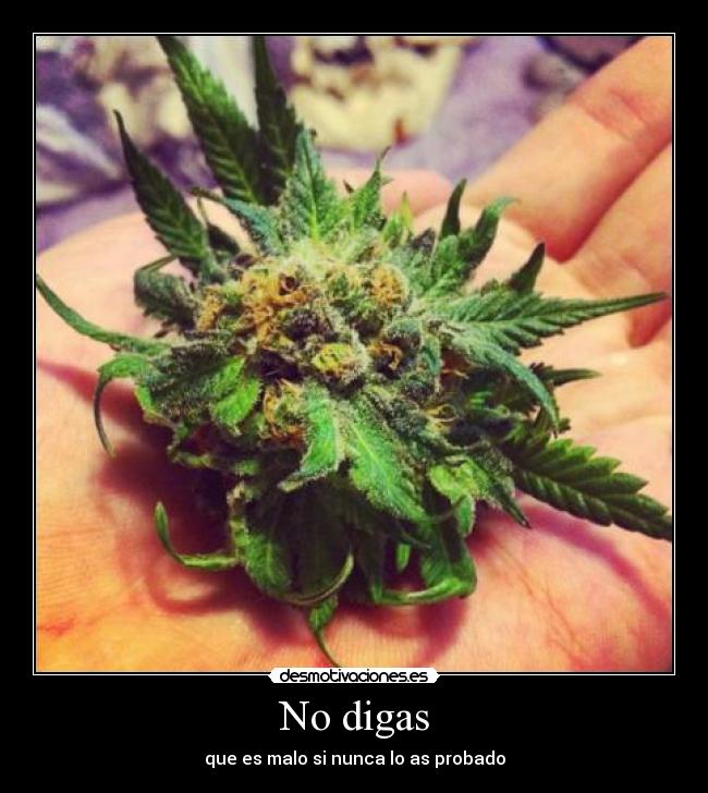 No digas - 