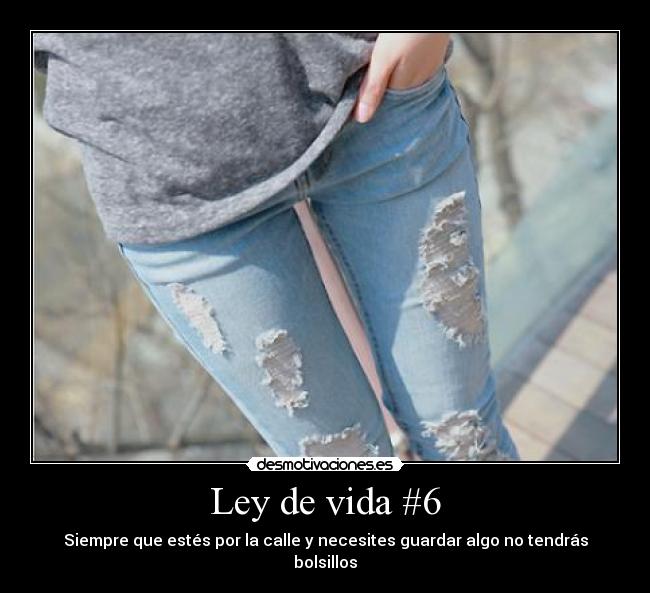 Ley de vida #6 - 