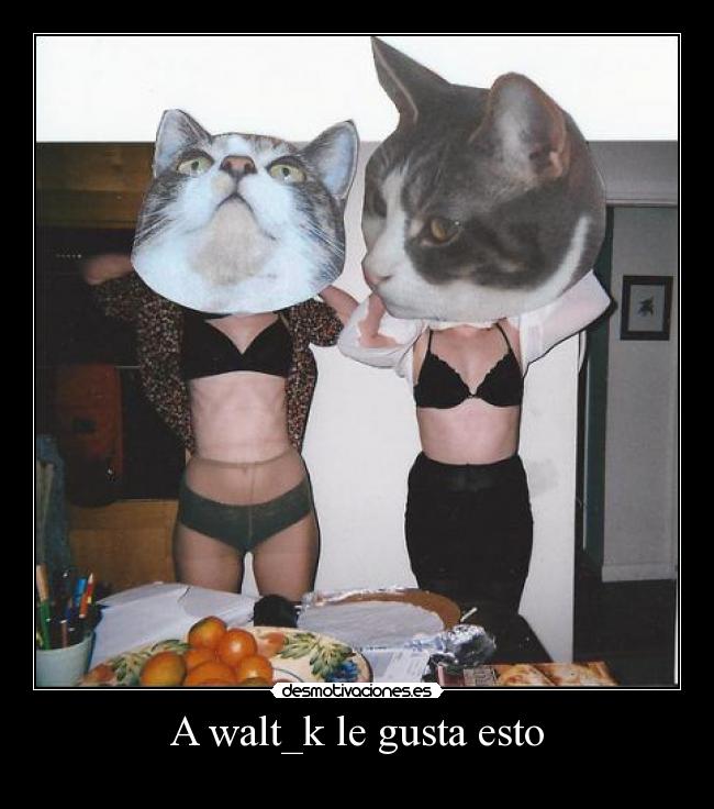 A walt_k le gusta esto -