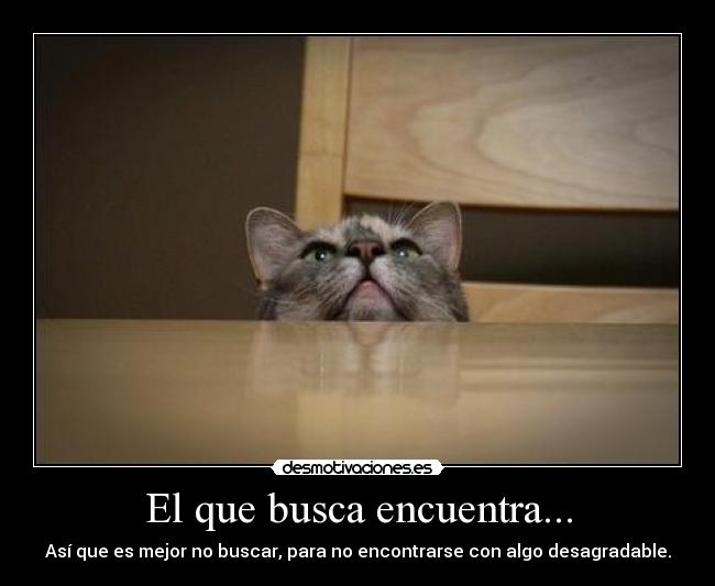 El que busca encuentra... - Así que es mejor no buscar, para no encontrarse con algo desagradable.