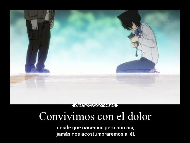 carteles dolor furuya babu convivimos con dollor desmotivaciones