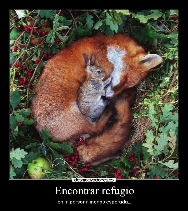 Encontrar refugio - en la persona menos esperada...