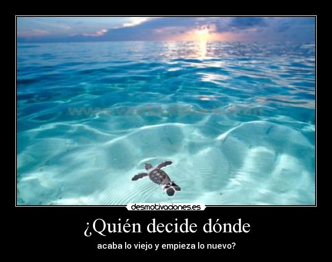 ¿Quién decide dónde - acaba lo viejo y empieza lo nuevo?