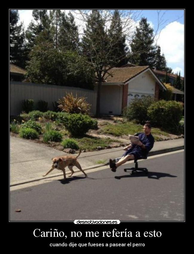 Cariño, no me refería a esto - cuando dije que fueses a pasear el perro