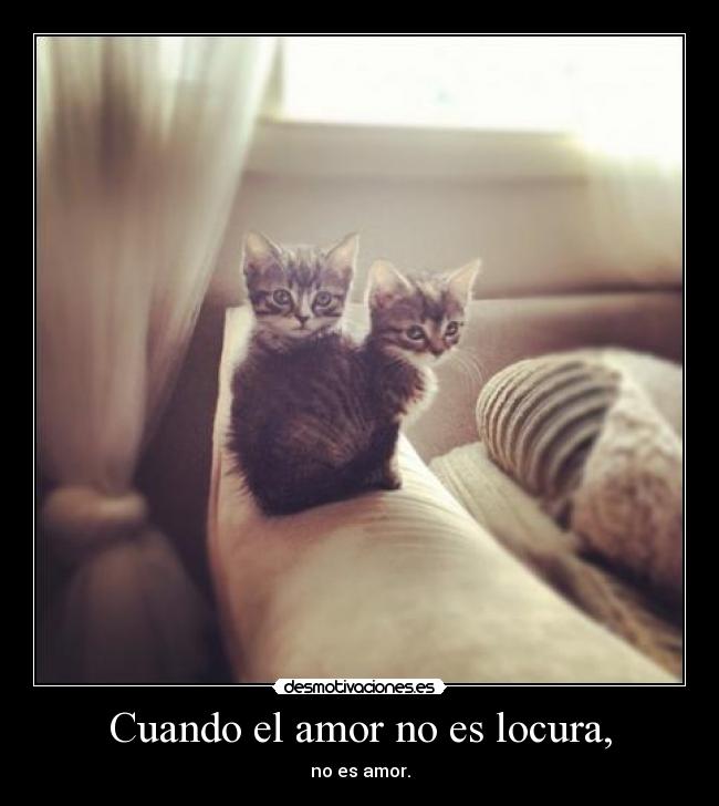 Cuando el amor no es locura, -
