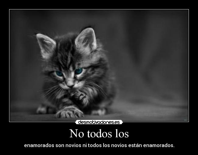 No todos los - enamorados son novios ni todos los novios están enamorados.