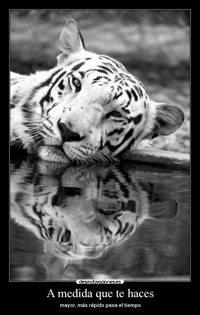 A medida que te haces - mayor, más rápido pasa el tiempo