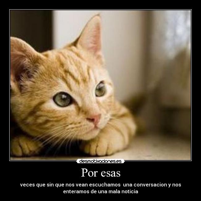 Por esas - veces que sin que nos vean escuchamos  una conversacion y nos
enteramos de una mala noticia