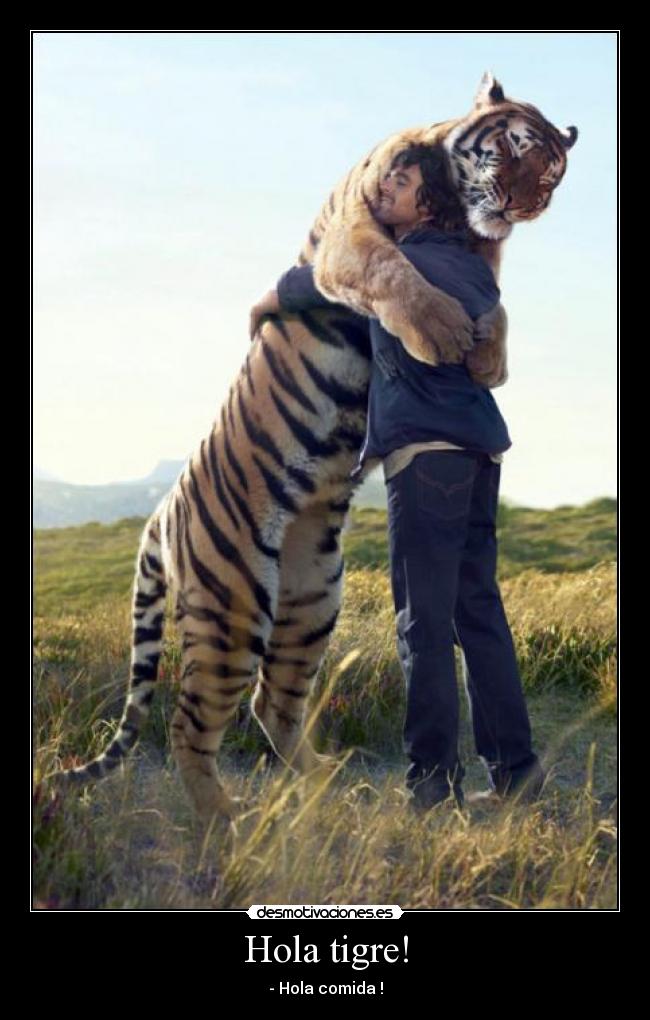 carteles marshalllee tigre humanos abrazos comida desmotivaciones