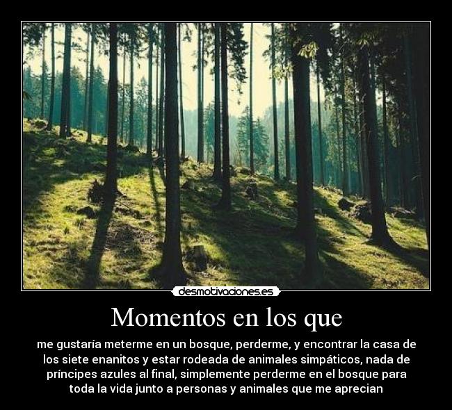Momentos en los que - 