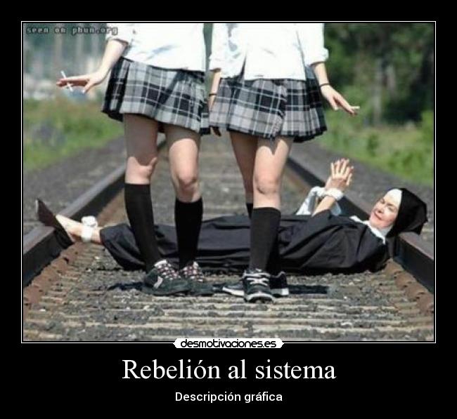 Rebelión al sistema - Descripción gráfica