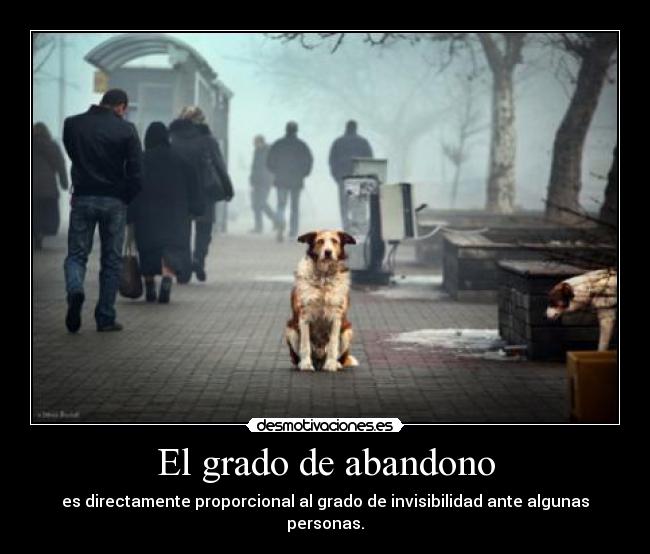 El grado de abandono - 