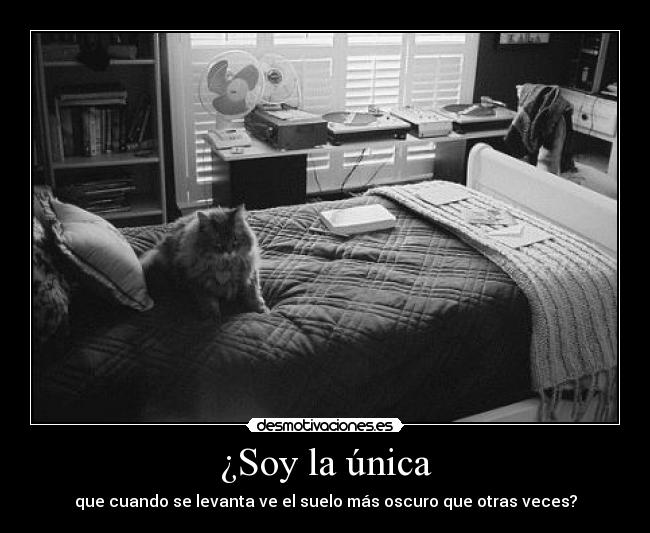 ¿Soy la única - que cuando se levanta ve el suelo más oscuro que otras veces?