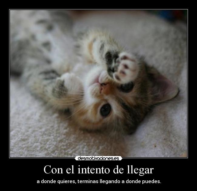 Con el intento de llegar - a donde quieres, terminas llegando a donde puedes.