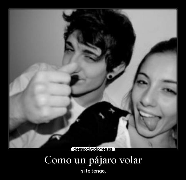 Como un pájaro volar - si te tengo.