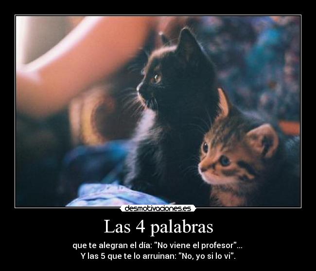 Las 4 palabras - que te alegran el día: No viene el profesor...
Y las 5 que te lo arruinan: No, yo si lo vi.