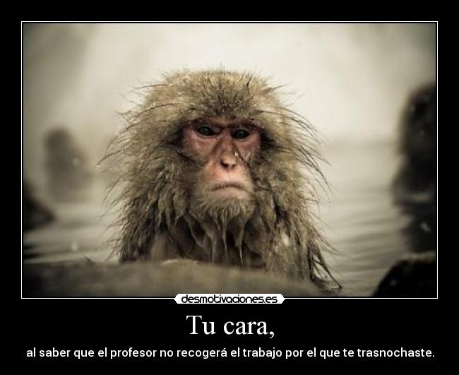 Tu cara, - al saber que el profesor no recogerá el trabajo por el que te trasnochaste.