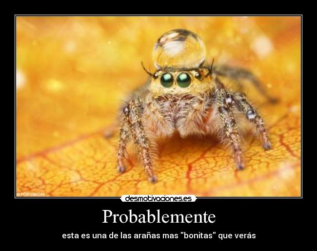 Probablemente - 
