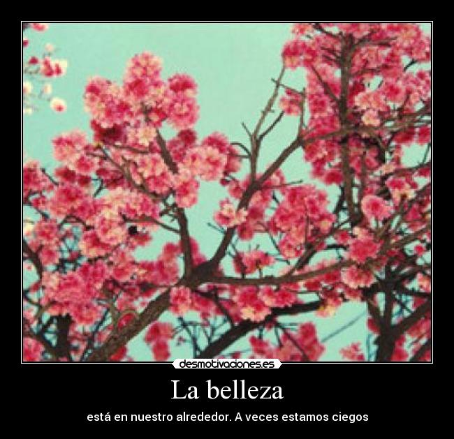 La belleza - está en nuestro alrededor. A veces estamos ciegos