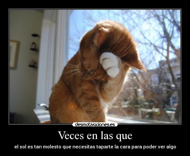 Veces en las que - el sol es tan molesto que necesitas taparte la cara para poder ver algo