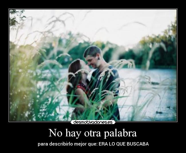 No hay otra palabra - para describirlo mejor que: ERA LO QUE BUSCABA