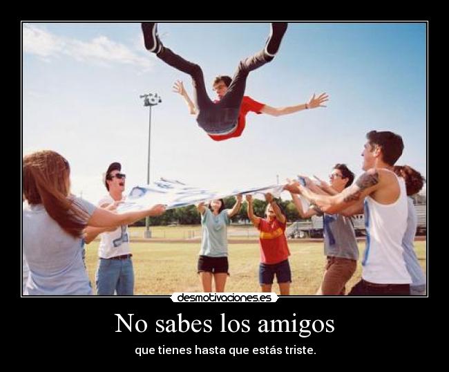 No sabes los amigos - 