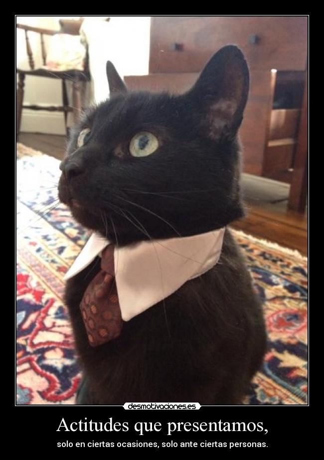 Actitudes que presentamos, -